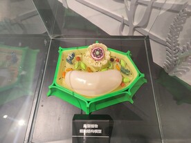 生物模型