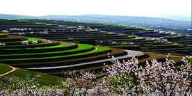 山区梯田