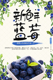 新鲜蓝莓