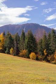 山林