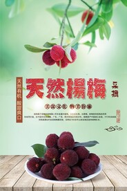 天然杨梅