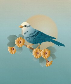 鸟