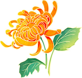 菊花