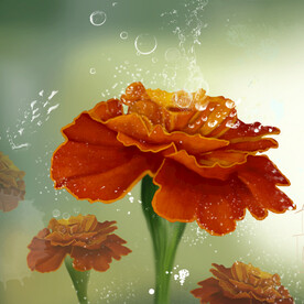 水彩花卉花朵花枝挂画装饰画