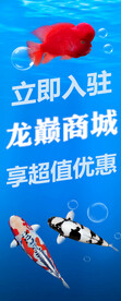 水族电商活动海报banner