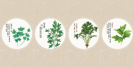 艾草 
