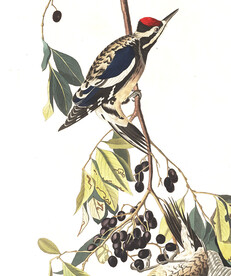 油画