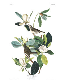 油画