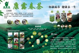 康露春茶海报
