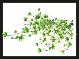 卡通手绘树木