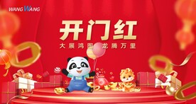 龙年开门红物料