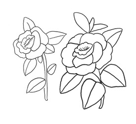 花朵简笔画