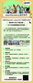 猫舍简介海报