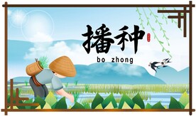 播种