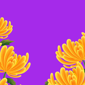 手绘菊花 