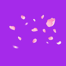 鲜花花朵花瓣
