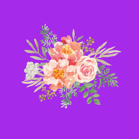 手绘月季花 