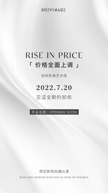 高级感调价海报