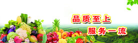 车身广告  车顶  车贴