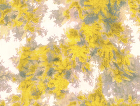 数码印花  扎染花