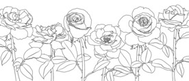 玫瑰花束