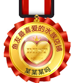 金属奖牌勋章图标