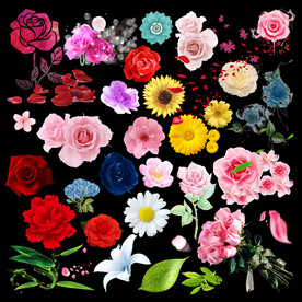 花卉