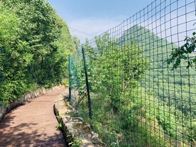 自然风景