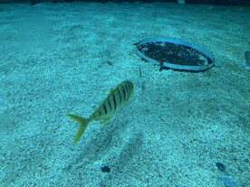 海洋馆