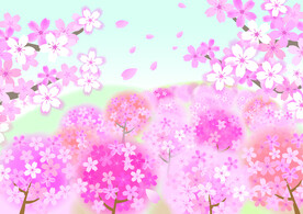 粉色樱花背景 