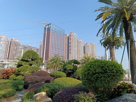 楼宇