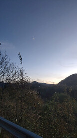 山中月光下风吹枯草夜景