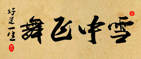 雪中飞舞