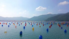 美景