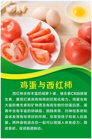 鸡蛋与西红柿 