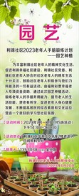 园艺展架 