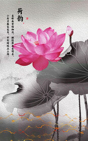 荷花玄关 