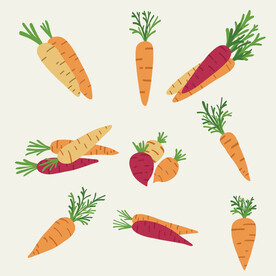 矢量胡萝卜