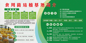 食用菌宣传版面