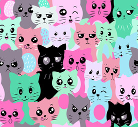 小猫