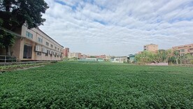 蔬菜园  