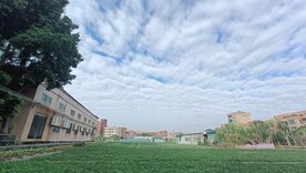 蔬菜园  