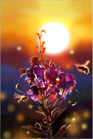 鲜花海报图片
