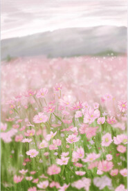 鲜花海报图片