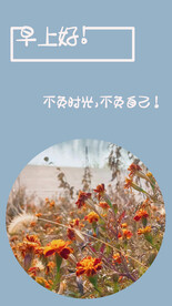 手机壁纸 万寿菊蓝色 早安