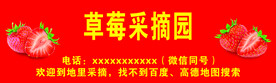 草莓采摘广告牌