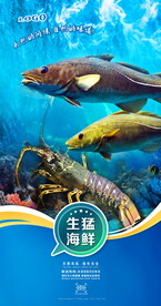 生猛海鲜
