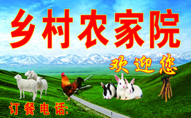乡村农家院