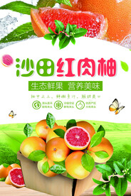 红心柚