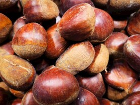 新鲜板栗